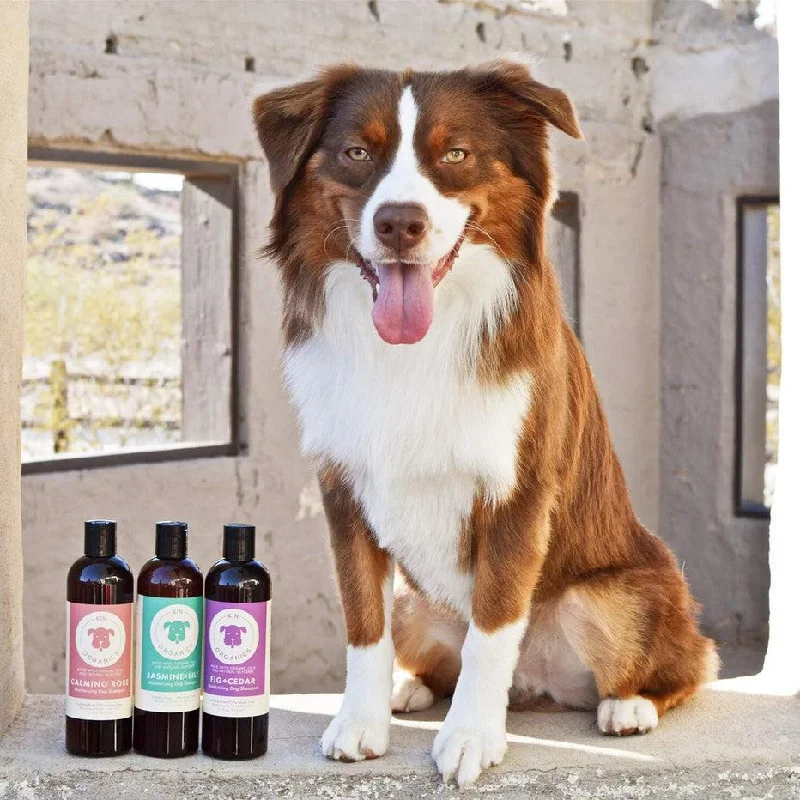 Pet grooming and cleaning products:kin+kind Kin Organics Oatmeal Itchy Dog Shampoo