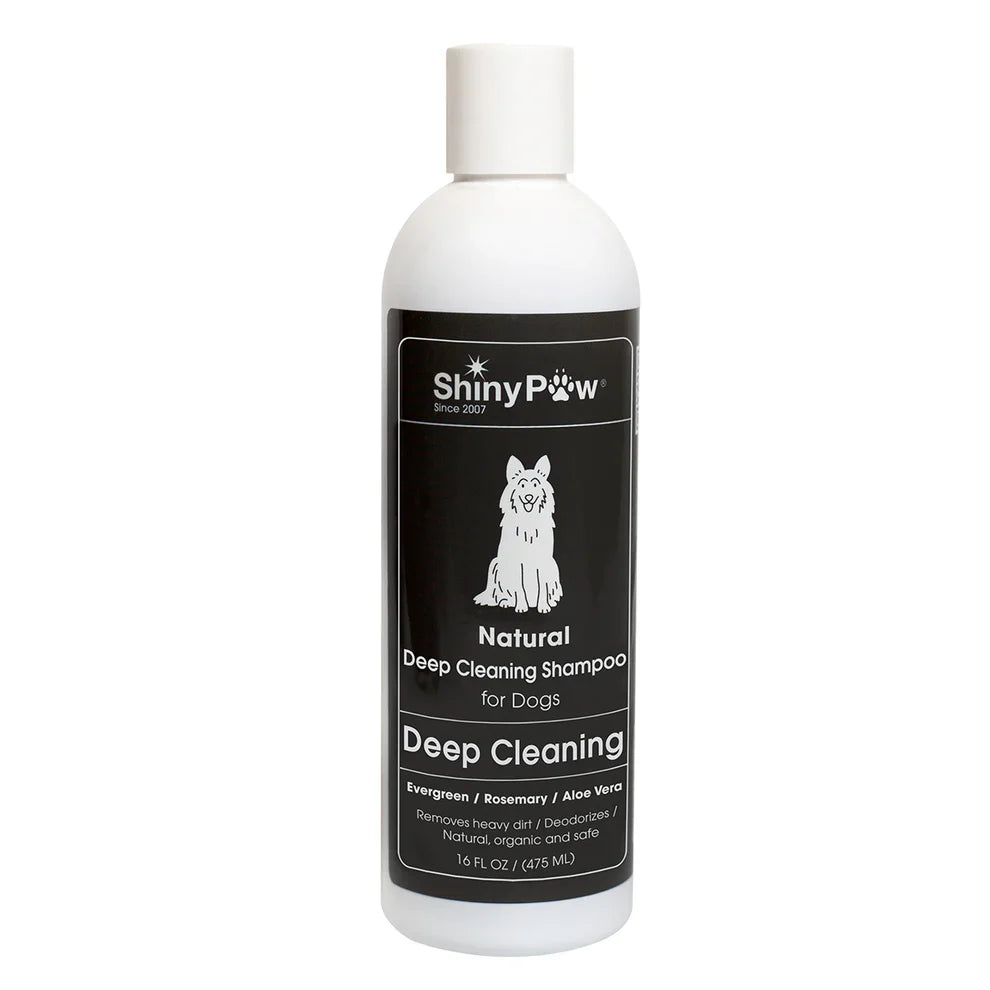 Pet careShiny Paw Deep Cleaning Evergreen Aloe Vera & Rosemary Shampoo for Dogs (16 oz)